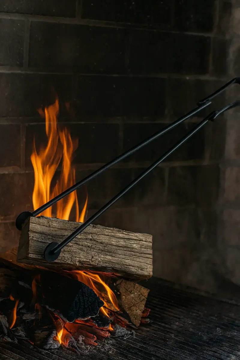 Pinza Carbonera